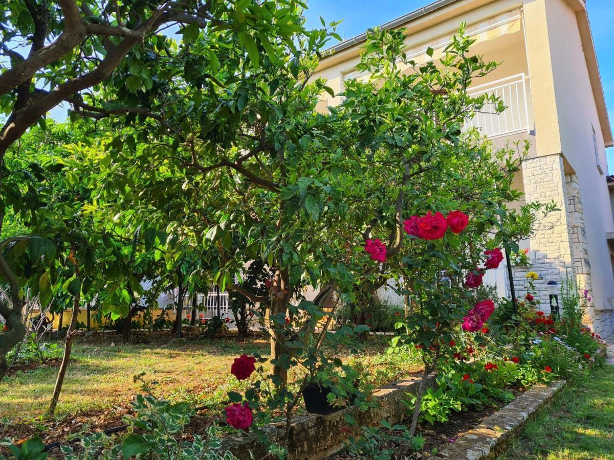 Apartments & Rooms Tom Medulin Luaran gambar